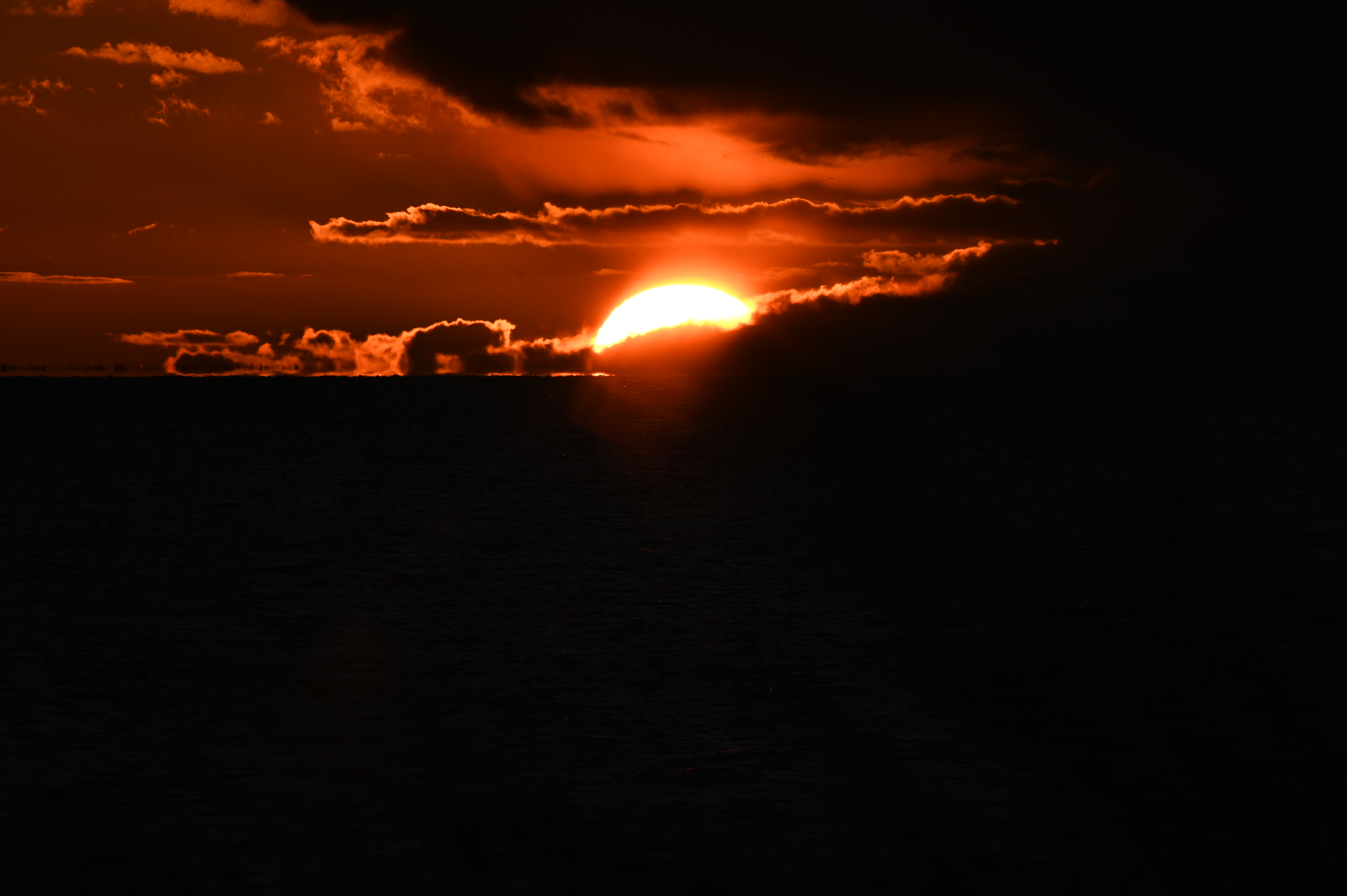 2025/10/18 - walk/DSC_0486.JPG